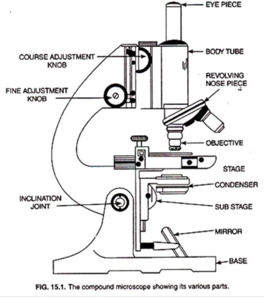 Микроскоп легко