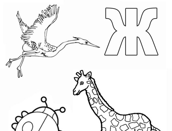 Буква ж для дошкольников