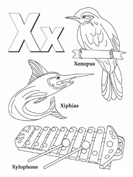 Слова на букву x