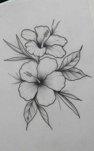 Цветочки карандашом