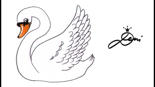 Глаза лебедя нарисованные