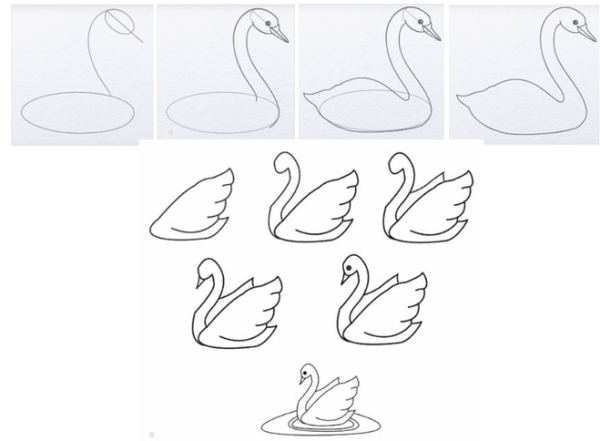 Поэтапное рисование лебедя