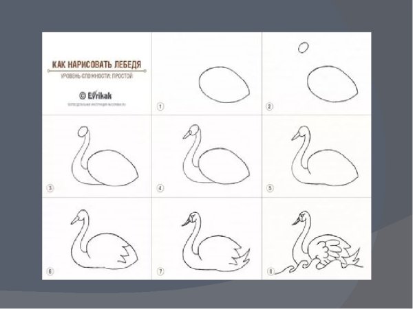 Рисование лебедь в подготовительной