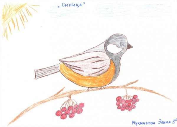 Птицы Башкирии презентация