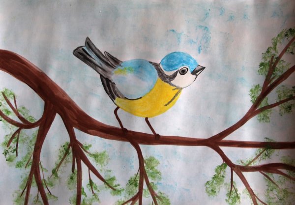 Зимующие птицы раскраска синица