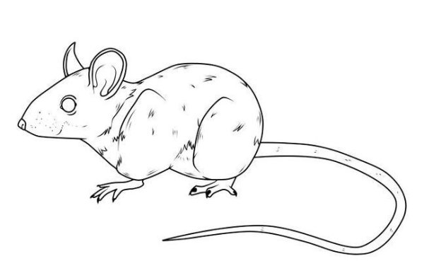 Мышь карандашом