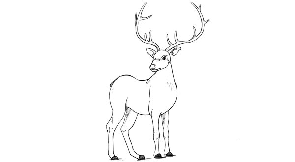 Поэтапное рисование оленя для детей