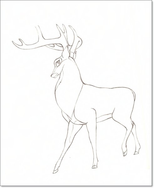Рисунок оленя для срисовки