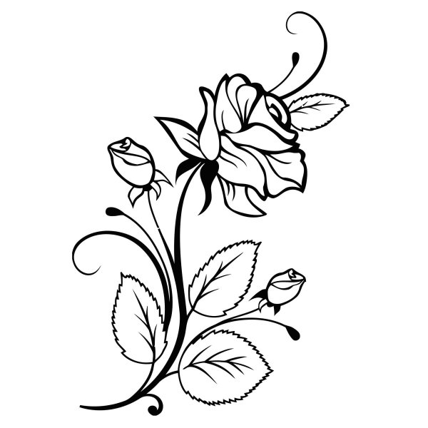 Цветы рисунок