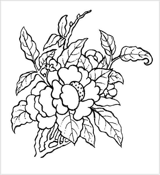 Трафарет розы для раскрашивания