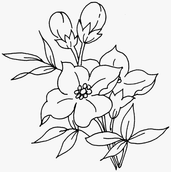 Рисунки для выжигания по дереву