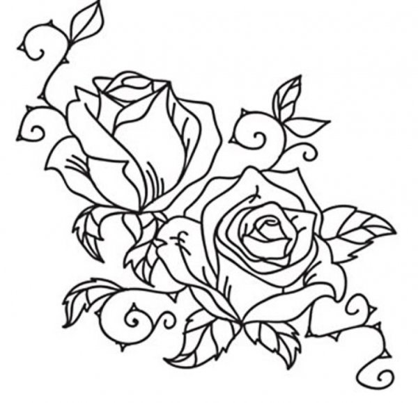 Роза для выжигания