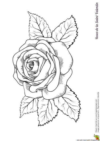 Эскиз цветка со стеблем