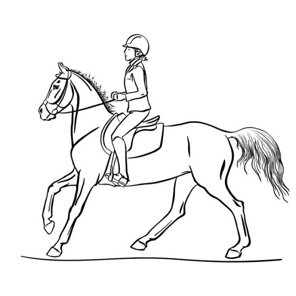 Девушка на лошади раскраска