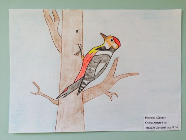 Дятел задания для детей