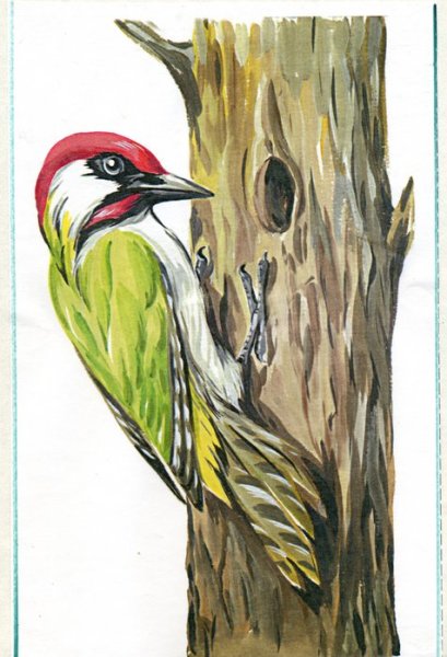 Задание с дятлом