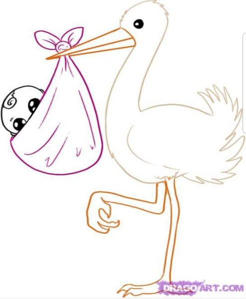 Поэтапное рисование птиц