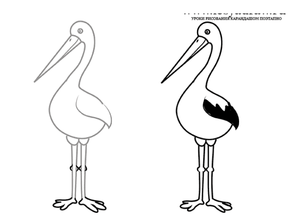 Поэтапное рисование аиста для детей