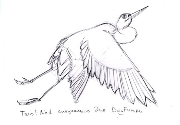 Рисование журавлика для детей поэтапное рисование