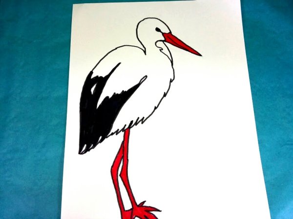 Поэтапное рисование аиста