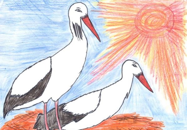 Аист рисунок поэтапно