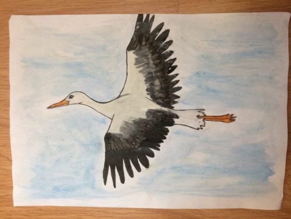 Поэтапное рисование журавля в полете