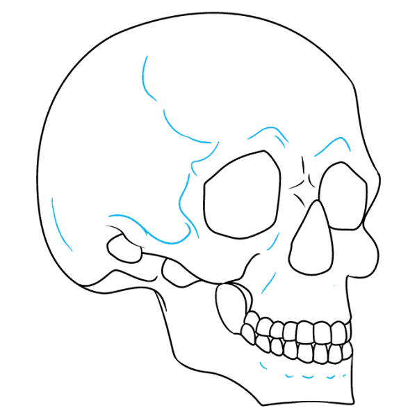 Череп рисунок карандашом легкий