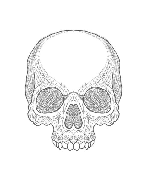 Череп скетч