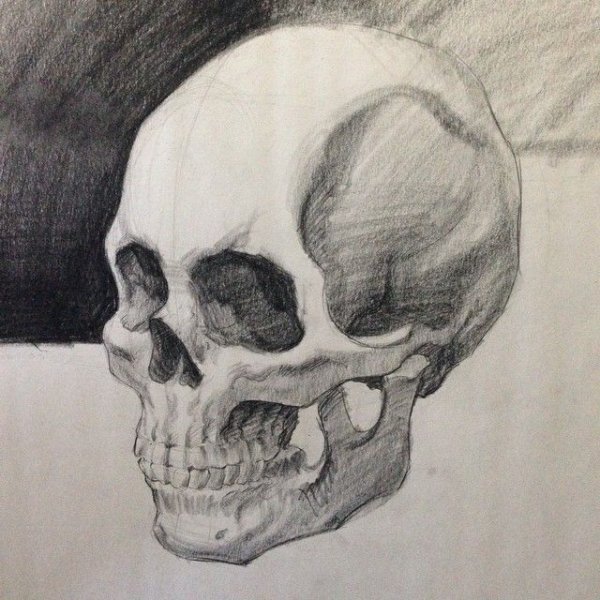 Уголь черепа