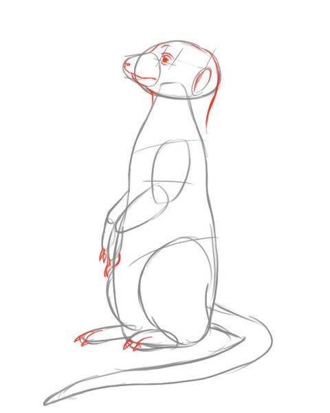 Ласка раскраска