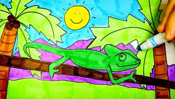 Хамелеон поэтапное рисование