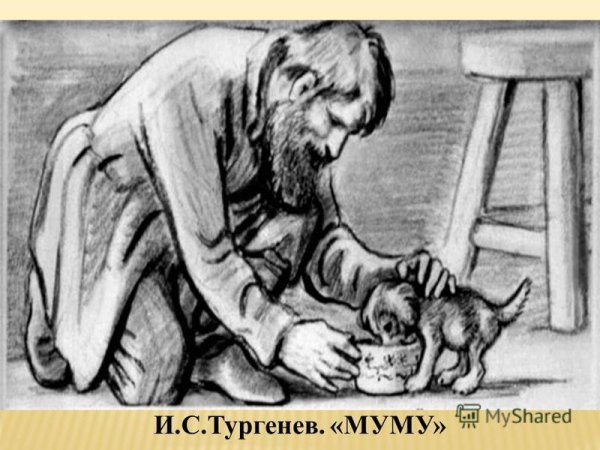 Иллюстрации к рассказу Муму Тургенева