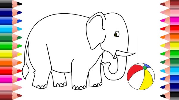 Слон рисунок