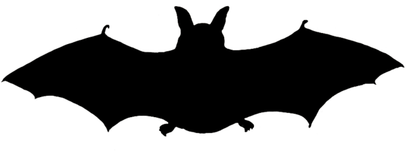 Летучая мышь