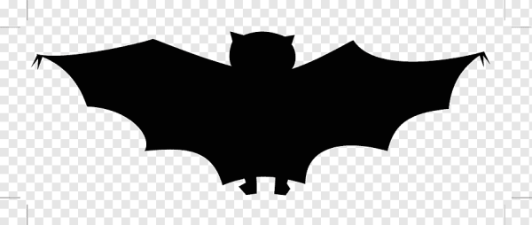 Летучая мышь