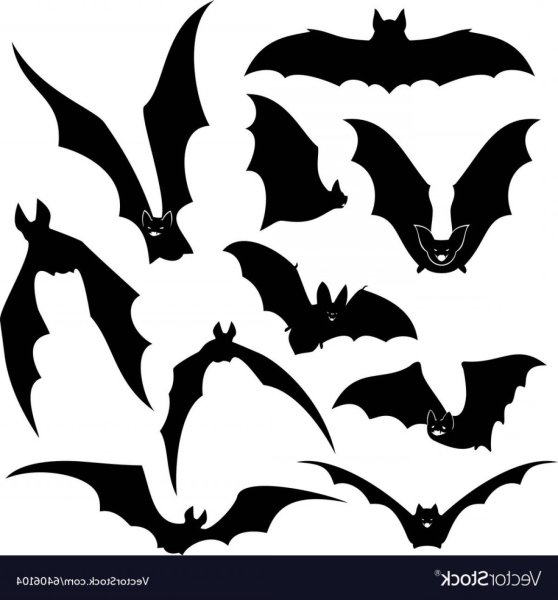 Летучая мышь