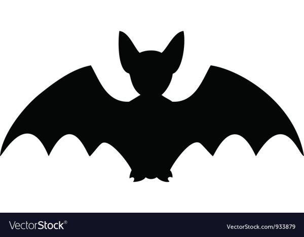 Тень летучей мыши