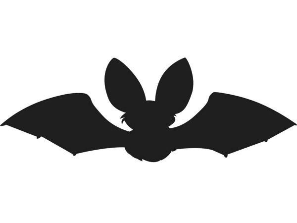 Летучая мышь силуэт