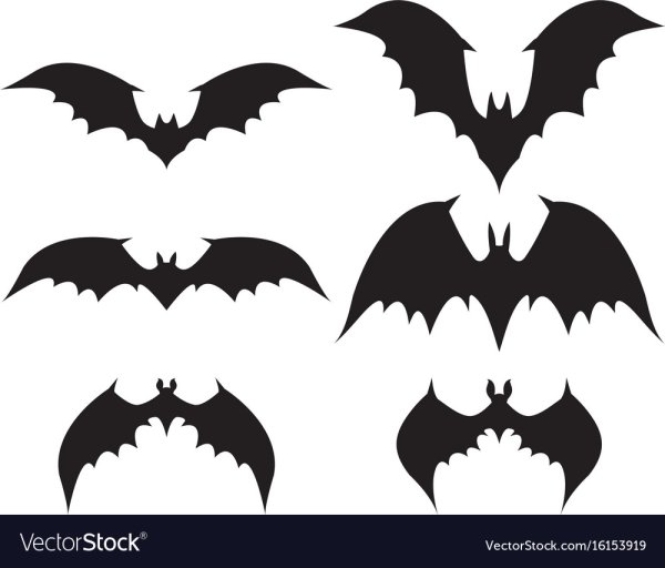 Летучая мышь вектор контур