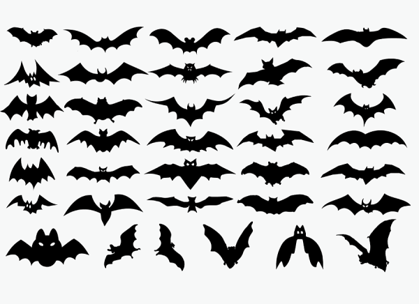 Летучая мышь вектор