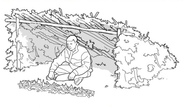 Рисунок на тему выживание