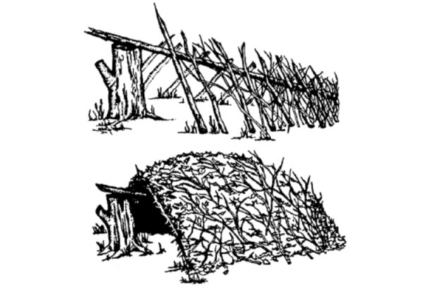 Временные укрытия в лесу