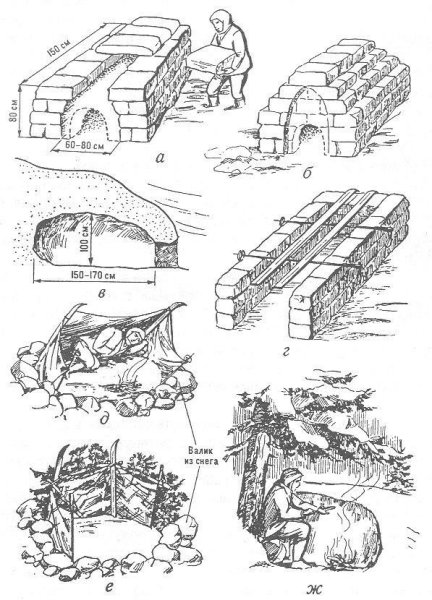 Убежище в лесу для выживания