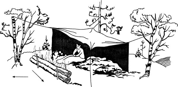 Организация ночлега в лесу