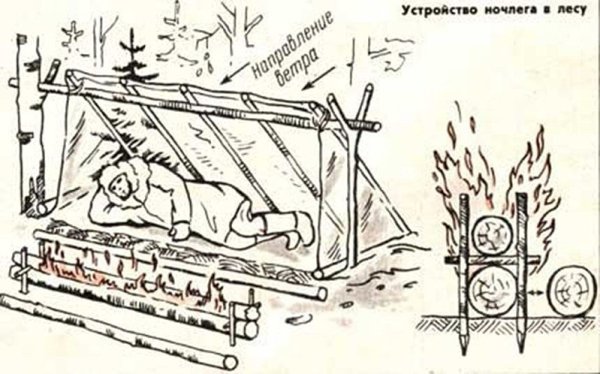 Устройство ночлега в лесу