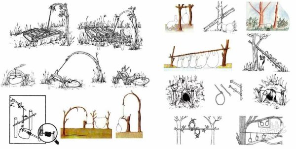 Выживание самоловы, ловушки, силки.