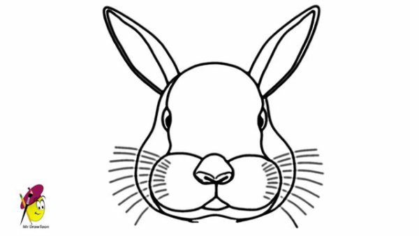 Rabbit face раскраска для детей