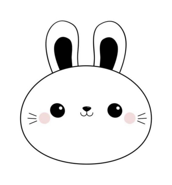 Носик зайчика