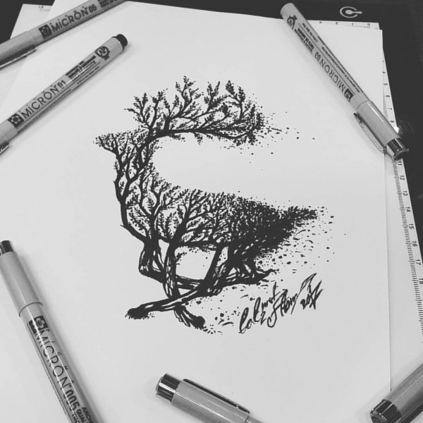 Рисунки лайнером