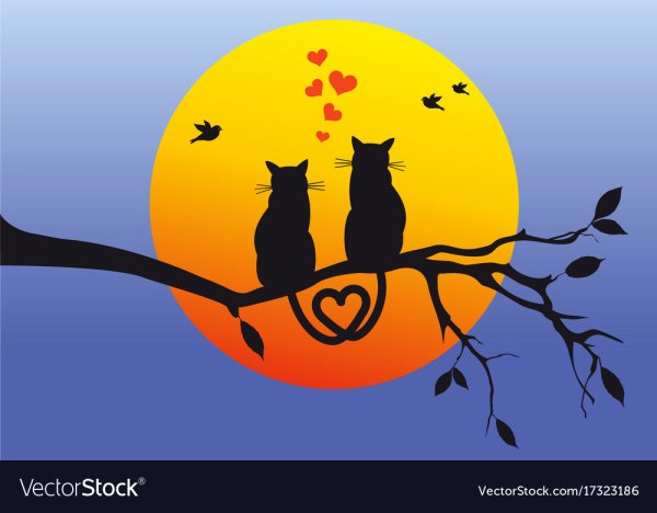 Силуэт кота на ветке